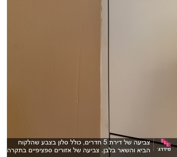 קיר צבוע בצבע חום בהיר ליד ארון לבן